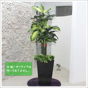 人工観葉植物 ディフェンバキア 130cm