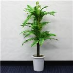 人工観葉植物 シダ 120cm