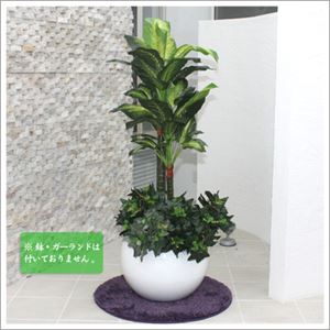 人工観葉植物 ディフェンバキア 110cm
