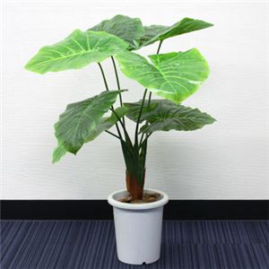 人工観葉植物 クワズイモ 85cm