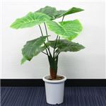 人工観葉植物 クワズイモ 85cm