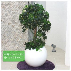 人工観葉植物 カポック ヤドリフカノキ 105cm