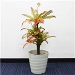 人工観葉植物 シダ 120cm