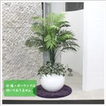 人工観葉植物 アレカヤシ 130cm