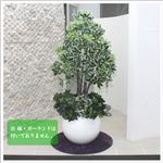 人工観葉植物 カポック ヤドリフカノキ 130cm