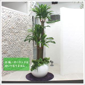 人工観葉植物 ドラセナフレグランス 150cm