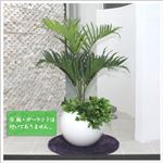 人工観葉植物 アレカヤシ 100cm