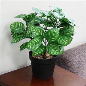 人工観葉植物 ピーコックウィンター 45cm