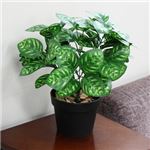 人工観葉植物 ピーコックウィンター 45cm