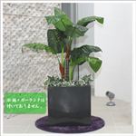 人工観葉植物 ディフェンバキア 120cm