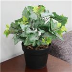 人工観葉植物 グレープリーブス 紅白斑 45cm