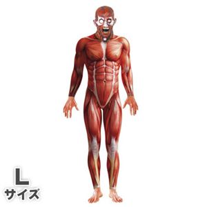 【コスプレ】Anatomy Man Costume L 大人用 L