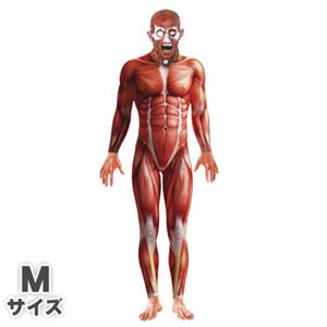 【コスプレ】Anatomy Man Costume M 大人用 M