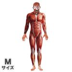 【コスプレ】Anatomy Man Costume M 大人用 M