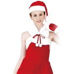 【クリスマスコスプレ 衣装】CLUB QUEEN Party Lady Santa(パーティーレディサンタ)