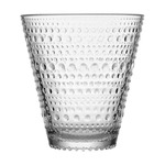 iittala（イッタラ） カステヘルミ  タンブラー300ml ペア クリア