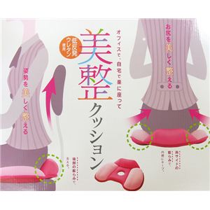 【化粧箱無】美整クッション 座るだけでみるみる姿勢が整います