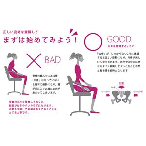 hihip ハイヒップ 美姿勢サブチェア 骨盤On the Chair HHI-EV-R/P001 レッド/パープル hihip ハイヒップ 美姿勢サブチェア 骨盤On the Chair HHI-EV-R/P001 レッド/パープル