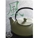 シービージャパン 鉄急須 やかん TEKKI 500ml 風