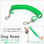 コイル状で自在に伸縮！足がリードに絡まない！ぐんぐんのび～る犬のリード／3m 1点