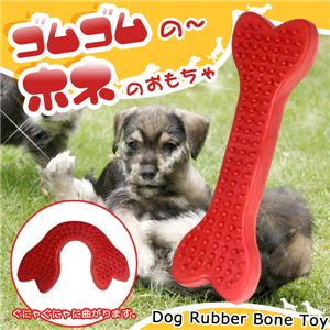 噛んで遊んで、ストレス解消！歯を丈夫に！デンタルケアも 犬の玩具 骨ゴム 1個