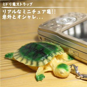 いつも一緒！ポケットサイズ ミドリガメ！予想外の可愛さにビックリ！！ ミドリ亀ストラップ 1個