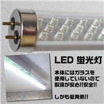 超寿命！省エネ！経済的 LED288灯使用で明るい LED蛍光灯／白 白色 1点