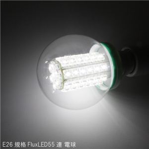 省エネ低電力 E26規格G80サイズ FluxLED55灯電球 1点