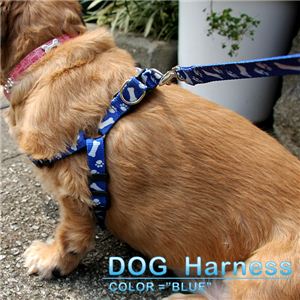 優しく留めるだけの簡単装着！愛犬の首にとても優しい小型犬用ハーネス 1点 青