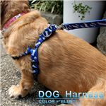 優しく留めるだけの簡単装着！愛犬の首にとても優しい小型犬用ハーネス 1点 赤