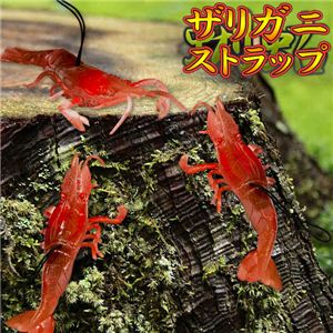 究極の質感！ムニュムニュ感が何ともいえない！ザリガニストラップ 10入り 50点 （10×5セット）1袋