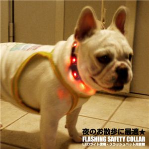 夜のお散歩に大活躍！ ペット用LEDフラッシュ首輪 各色 赤 1点