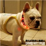 夜のお散歩に大活躍！ ペット用LEDフラッシュ首輪 各色 赤 1点