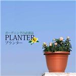 ハーブの寄せ植えやガーデニングのお供に必需品 プランター／プラ鉢 1点