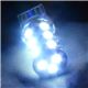 次世代型高輝度SMD-LED採用／18連LEDウエッジ球（白・青） 白／7440 1点 - 縮小画像1