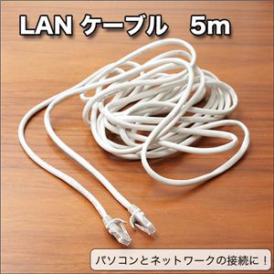 余裕の長さ！パソコンとネットワークをつなぐLANケーブル／5m／ホワイト LANケーブル 5m ／1本