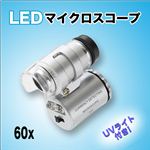 宝石鑑定や小さい物のチェックに！ LED付き紫外線ライト／60倍／マイクロスコープ 1点