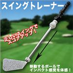 【実力UP】ゴルフ練習スイングトレーナー アイアンタイ プ 60CM 1点