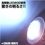 省エネ長寿命 高輝度小型LED使用 E17規格LED80灯電球 各色 白 1点