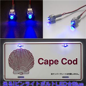 <車の精>愛車をカスタマイズ！光るピンライトボルト 超高輝度LED使用 ホワイト