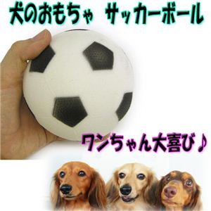 【ペット用品】コロコロと追っかけ回して、運動不足解消！ 犬の玩具 サッカーボール 1個