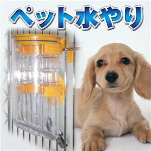 【色おまかせ 】大型サイズ 三段高さ調節OK 掃除も楽チン ペット水やり 1点 色おまかせ