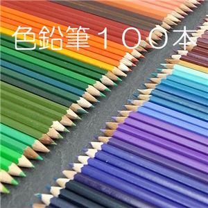 【豊富な色彩】塗り絵やスケッチなどに カラフル色えんぴつ100本 携帯ケース入り 1セット（多少重複色あり）