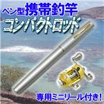 手軽に楽しめてコンパクト 携帯ペン型 コンパクトロッド リール付 シルバー 1点