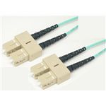 エイム電子 10G用 光パッチケーブル 両端DSC Duplex マルチ(50/125) 3m AFP2-DSC/DSC-10G-50-03