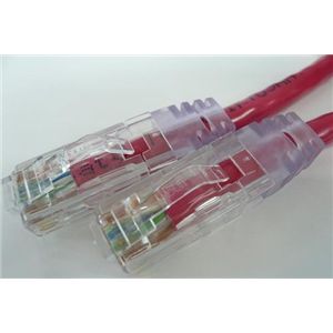 エイム電子 CAT6ケーブル 両端RJ45 単線 ストレート結線 25m (赤) C6S-SO-RD-25