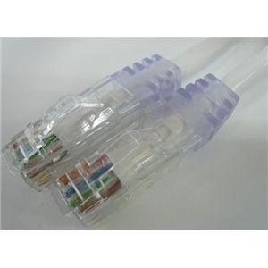 エイム電子 CAT6ケーブル 両端RJ45 単線 ストレート結線 30m (白) C6S-SO-WT-30