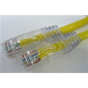エイム電子 CAT6ケーブル 両端RJ45 単線 ストレート結線 1m (黄) C6S-SO-YL-01