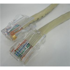 エイム電子 CAT5eケーブル 両端RJ45(PANDUIT) ブーツ無し 撚り線/ストレート結線 アイボリー 4m C5ES-ST-IV-04P