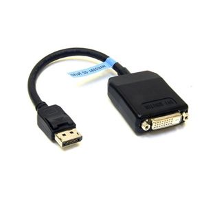 エーキューブ DisplayPort to DVI-I Cable CB-DP2DVI